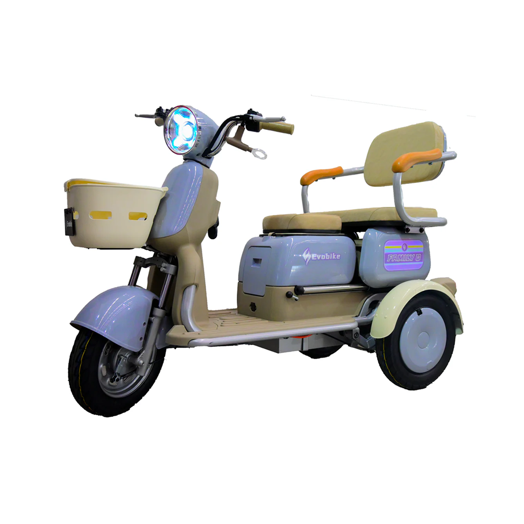 FAMILY | Triciclo Eléctrico Estable y Versátil para Uso Familiar | Multibike