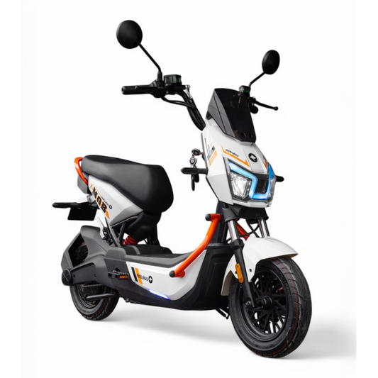 EB-9 RAPTOR | Bicicleta Eléctrica Todo Terreno con Potencia Extrema | Multibike